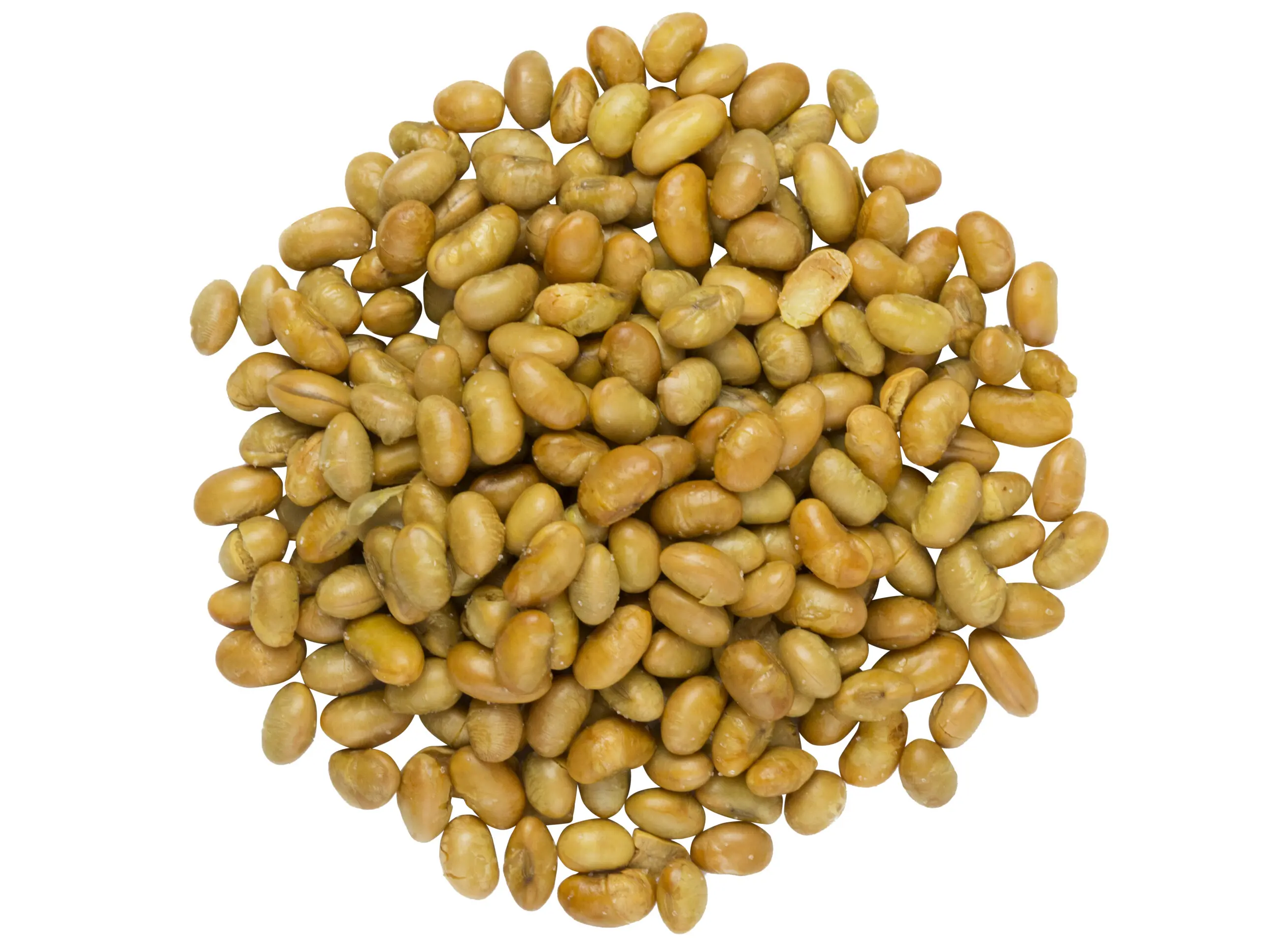 EverSnax Roasted & Lightly Salted Soybeans – Crunchy Dried Roasted Soy Nuts, 1 lb Resealable Bag