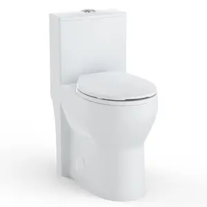 Elongated One-Piece Toilet with Soft-Close Seat, 19" ADA Compliant Comfort Height, Dual Flush Top Buttons (3/4.8 LPF), Powerful Flush & Easy-Clean Ceramic, Modern White Bathroom Toilet