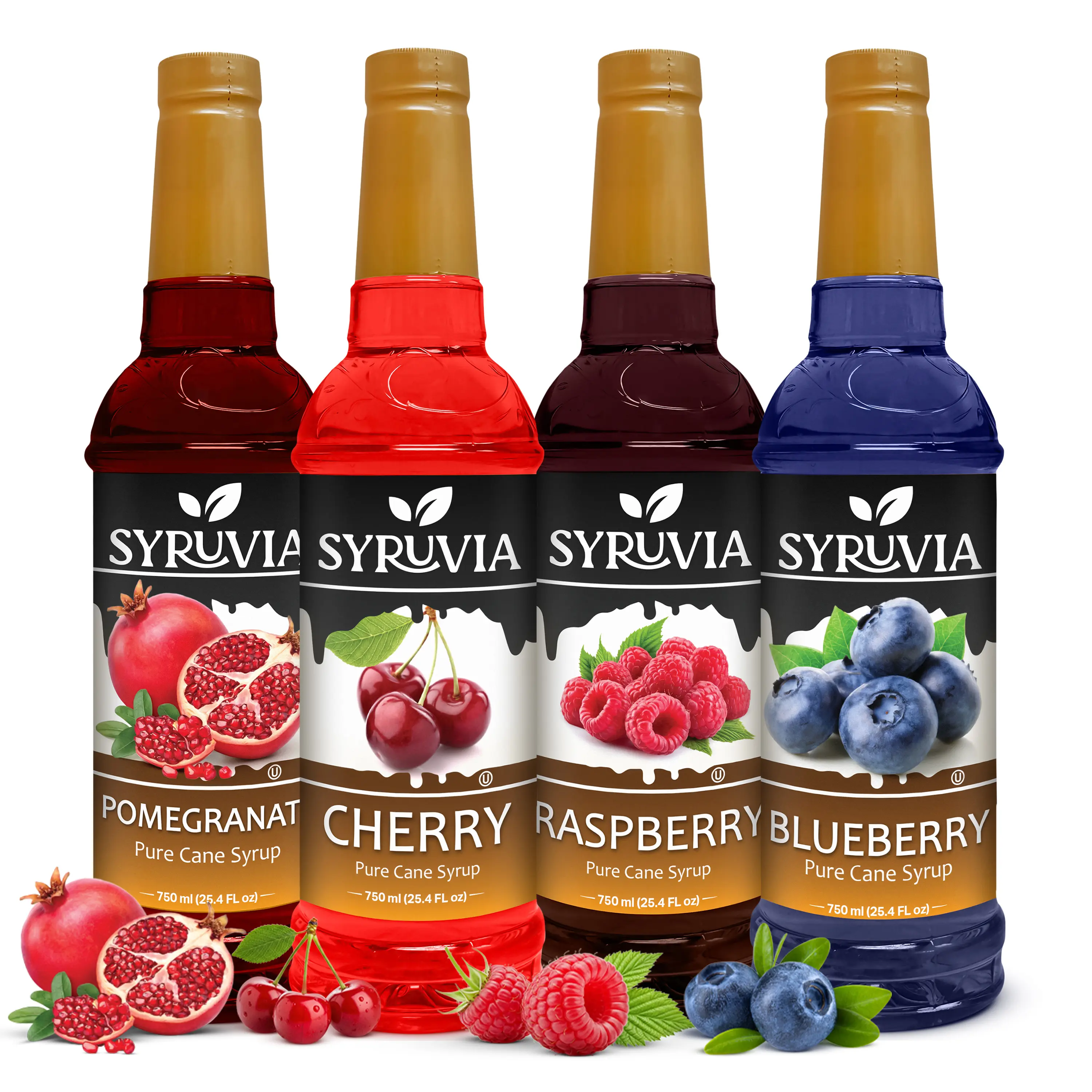 Syruvia Fruit Flavors Variety Pack – Pomegranate, Cherry, Raspberry & Blueberry Syrup – Perfect for Cocktails, Lemonade, Iced Tea & Beverages – 25.4 Fl oz Bottles (4 Pack)