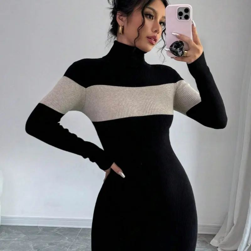 Women's Turtleneck Colorblock Long Sleeve Bodycon Dress, Commuter Office & Date Night Wear, Simple Style, Fall Winter