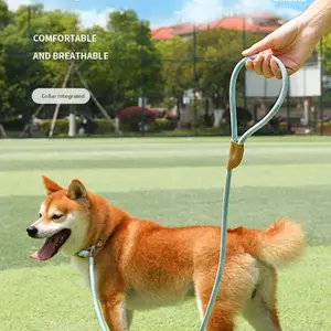 Dog Training Leash Anti-Pull Dog Walking Rope Chain Medium Large Small Dogs Pet Tie Rope, Durable Dog Lead for Daily Walks