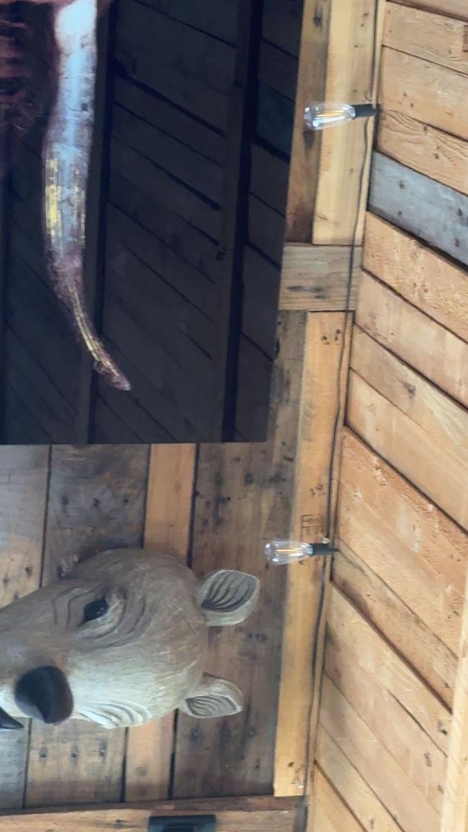 Item: 100 Feet / 50 LED