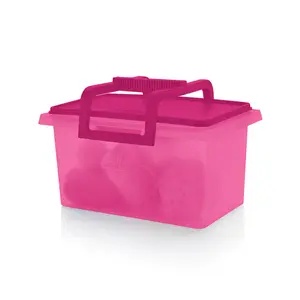 Tupperware Small Carry-All Container with removable handle