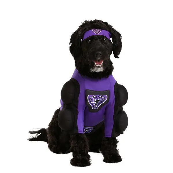 Dodgeball Pet Globo Gym Costume