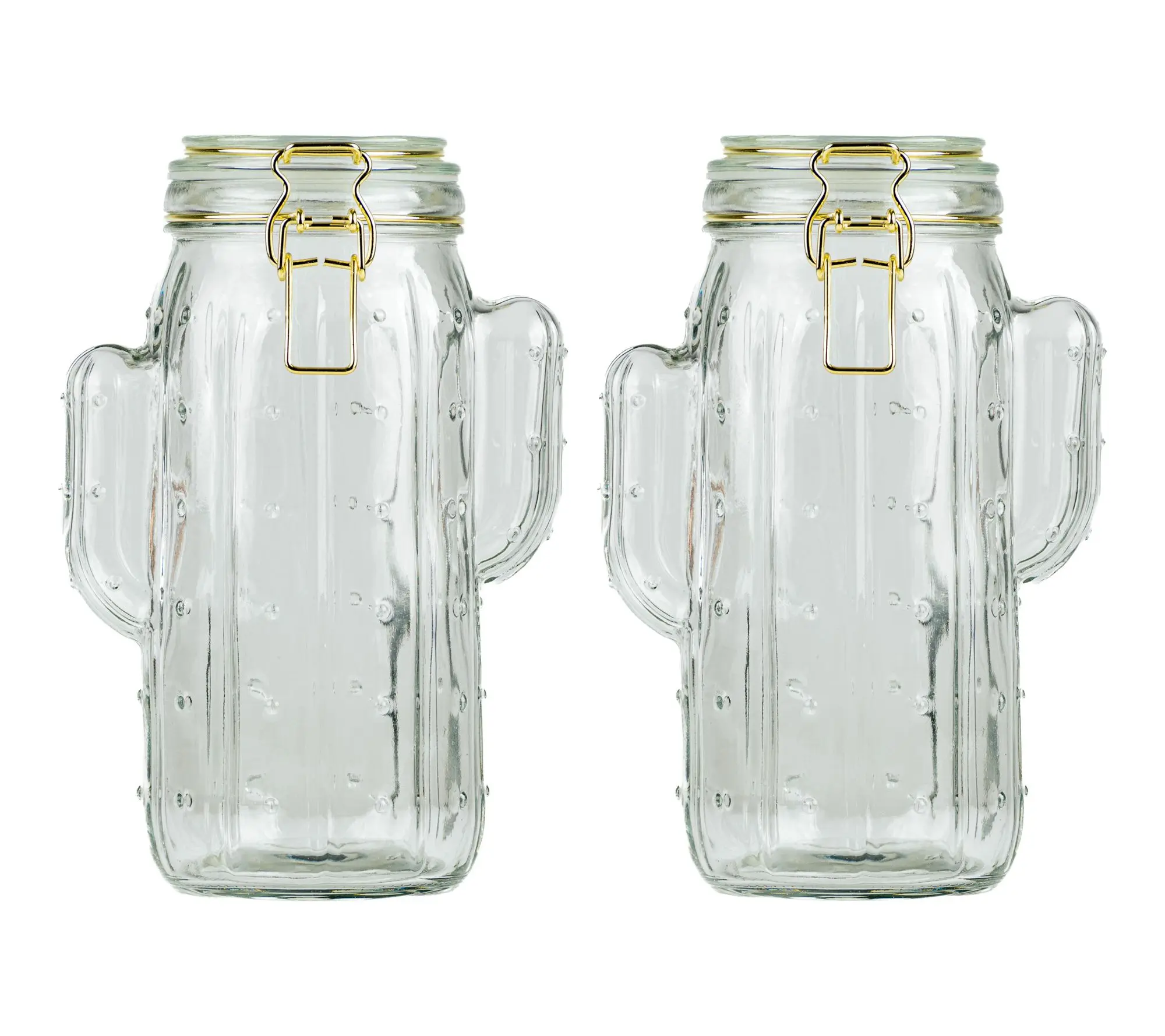 10 Strawberry Street Set of 2 Saguaro Hermetic Jars, Large 10 Strawberry Street Set of 2 Saguaro Hermetic Jars, Large
