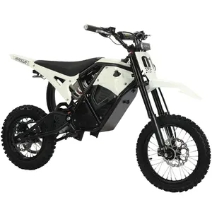 Long Range Electric Off-Road Bike 43.5 Miles 7-8H Charging BMS Protection Battery Hydraulic Shock Absorber ROGUE MX-01 E-Dirt Bike