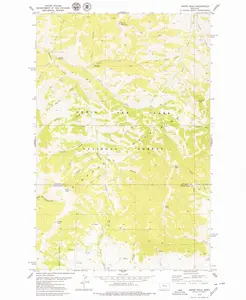 Arrow Peak Montana USGS Topographic Quadrangle Map, 1978, 1:24000