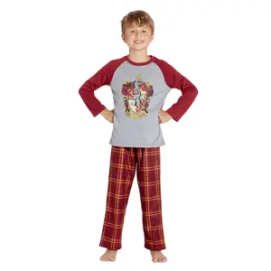 Harry Potter Pajamas Little And Big Boys' Raglan Shirt And Pants Sleepwear Set