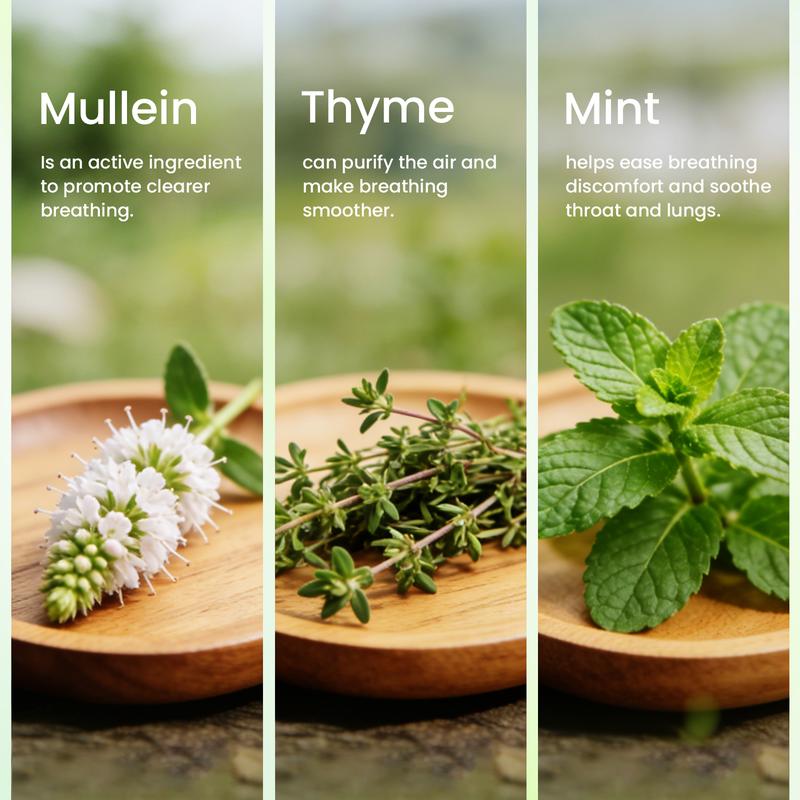 Coofeel Herbal Diffuser 2000mg Extra Strength Supports Natural Health Clears Lungs Detoxifies Enhances Immune System Instant Refreshing with Verbasco Mint & Thyme Coofeel Herbal Diffuser 2000mg Extra Strength Supports Natural Health Clears Lungs Detoxifies Enhances Immune System Instant Refreshing with Verbasco Mint & Thyme