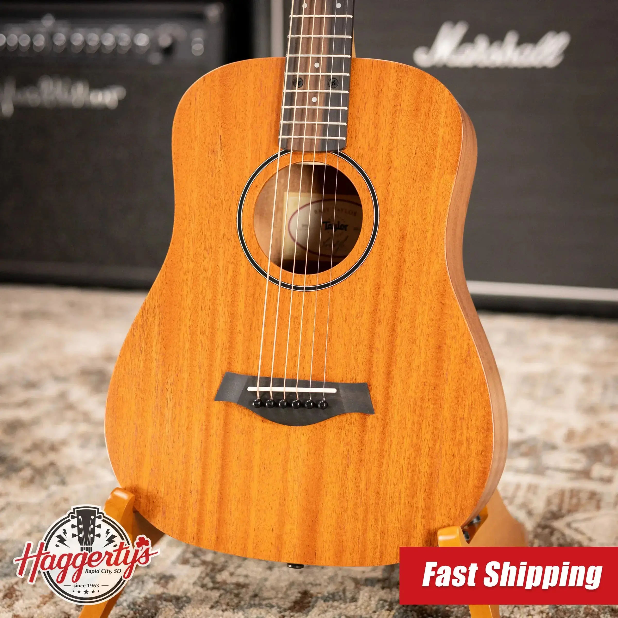 Taylor BT2 Baby Taylor Acoustic Guitar with Gig Bag