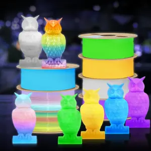 Multifunctional Glow-In-The-Dark Pla Filament 1.75mm 250g, Eco-Friendly Biodegradable Material, Night Glowing Effect for Signs and Creative Projects