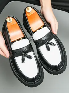 Men's Business Colorblock Tassel Design, Fashionable Comfortable Slip-on Shoes for Daily Wear, Lightweight Breathable Shoes for All Seasons, Business Casual Shoes