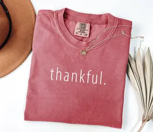 Comfort Colors Thankful Shirt Blessed Tshirt Cute Thanksgiving Season Apparel Family Thanksgiving Tshirt Holiday Gifts Cozy Fall Shirt