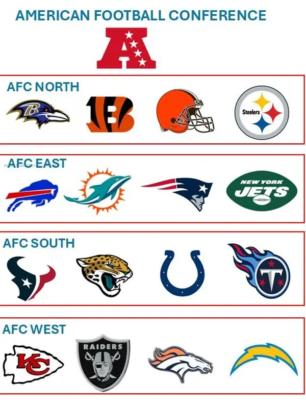 DIVISIONAL - 8 NFL DIVISONS