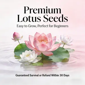 #Easy-to-Grow Seeds: Ideal for beginners and experienced gardeners; simple planting instructions included.