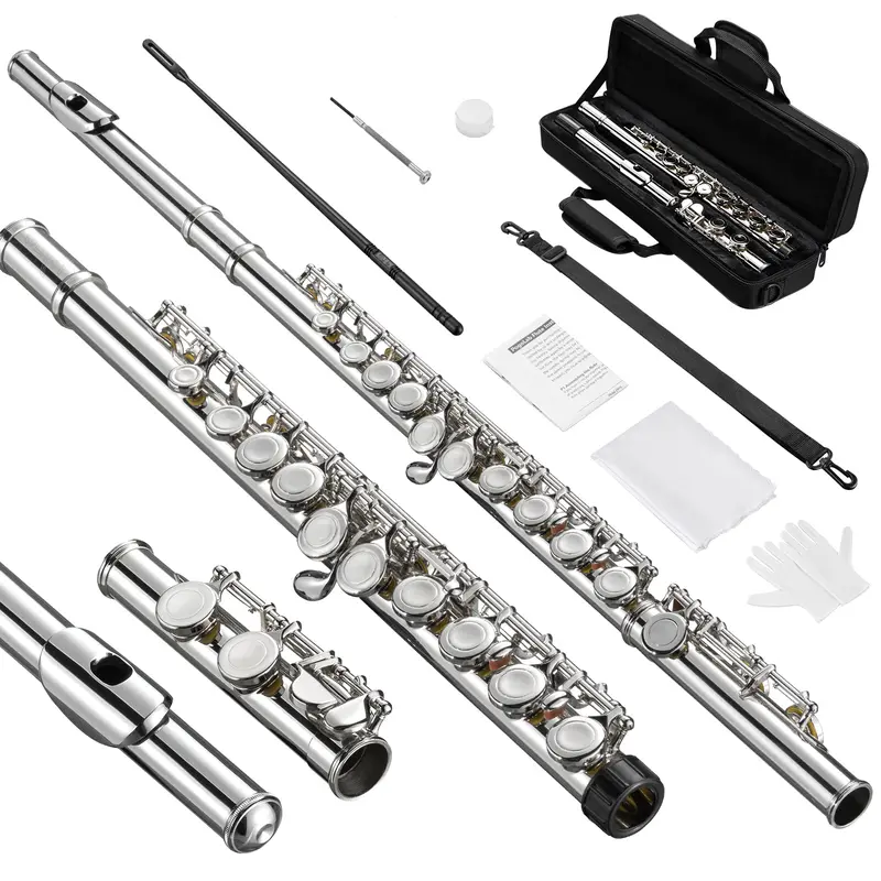 POGOLAB Closed Hole C 16 Keys Flute Instrument, Student Flute for Beginner Advanced Player with Flute Cleaning Kit, Carry Bag, Stand, Strap, Probe Rod, Gloves, for Music Lovers Boys Girls Friends Gift