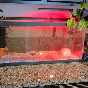 hygger Clip On 24/7 Lighting Aquarium LED Light, 14W Sunrise-Daylight-Moonlight and DIY Mode, Adjustable Timer / Brightness Fish Tank Light with 7 Colors for Planted Tank Aquatic Life Outdoorfun