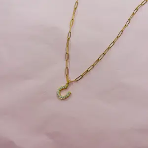 The Lucky Charm Horseshoe Necklace