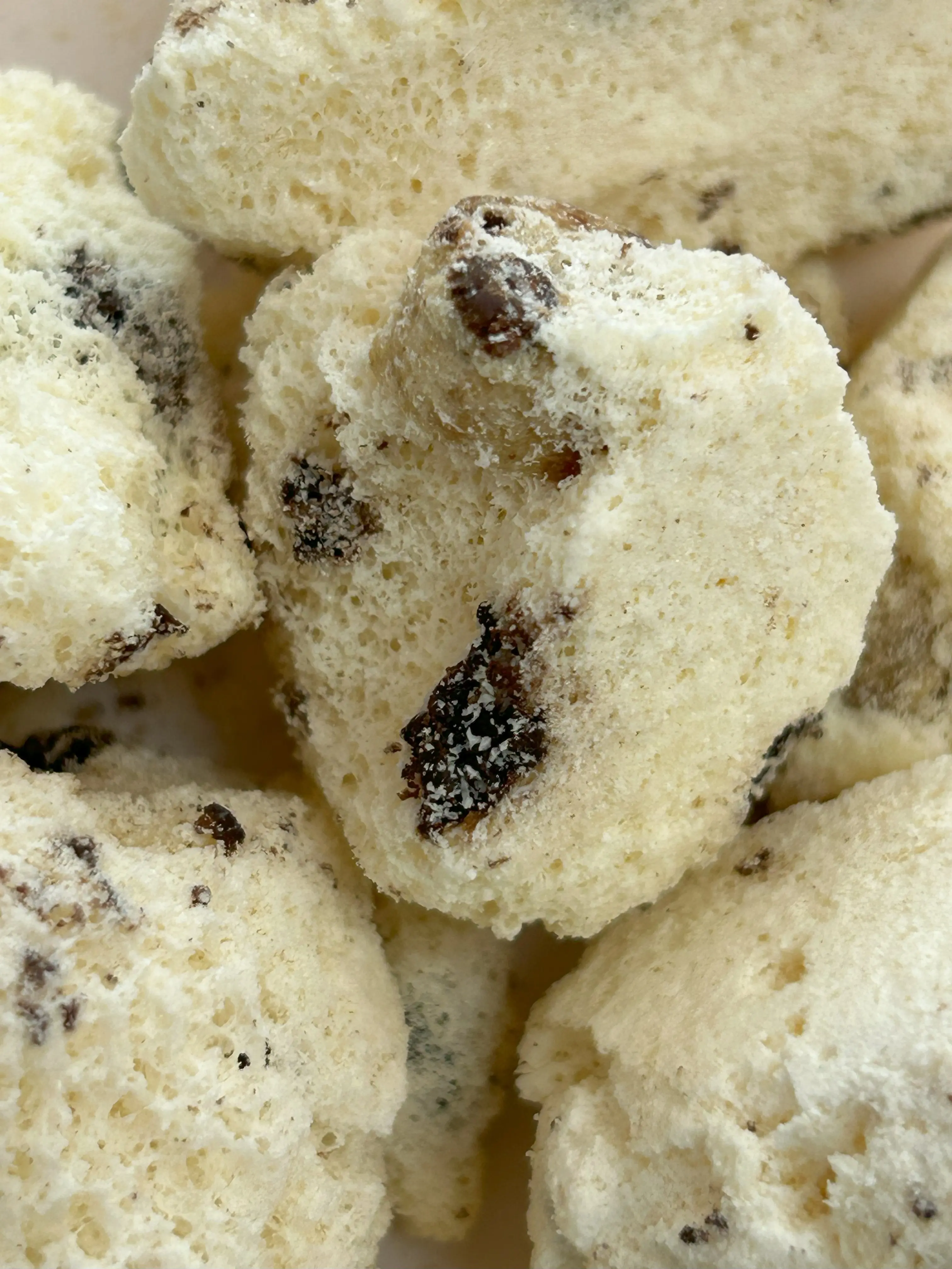 Freeze Dried Ice Cream - Chocolate Chip Cookie Dough Scoops Freeze Dried Ice Cream - Chocolate Chip Cookie Dough Scoops