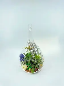 Hanging Glass Tear Drop Terrarium - Air Plants / Moss / Sand / Dried Flowers