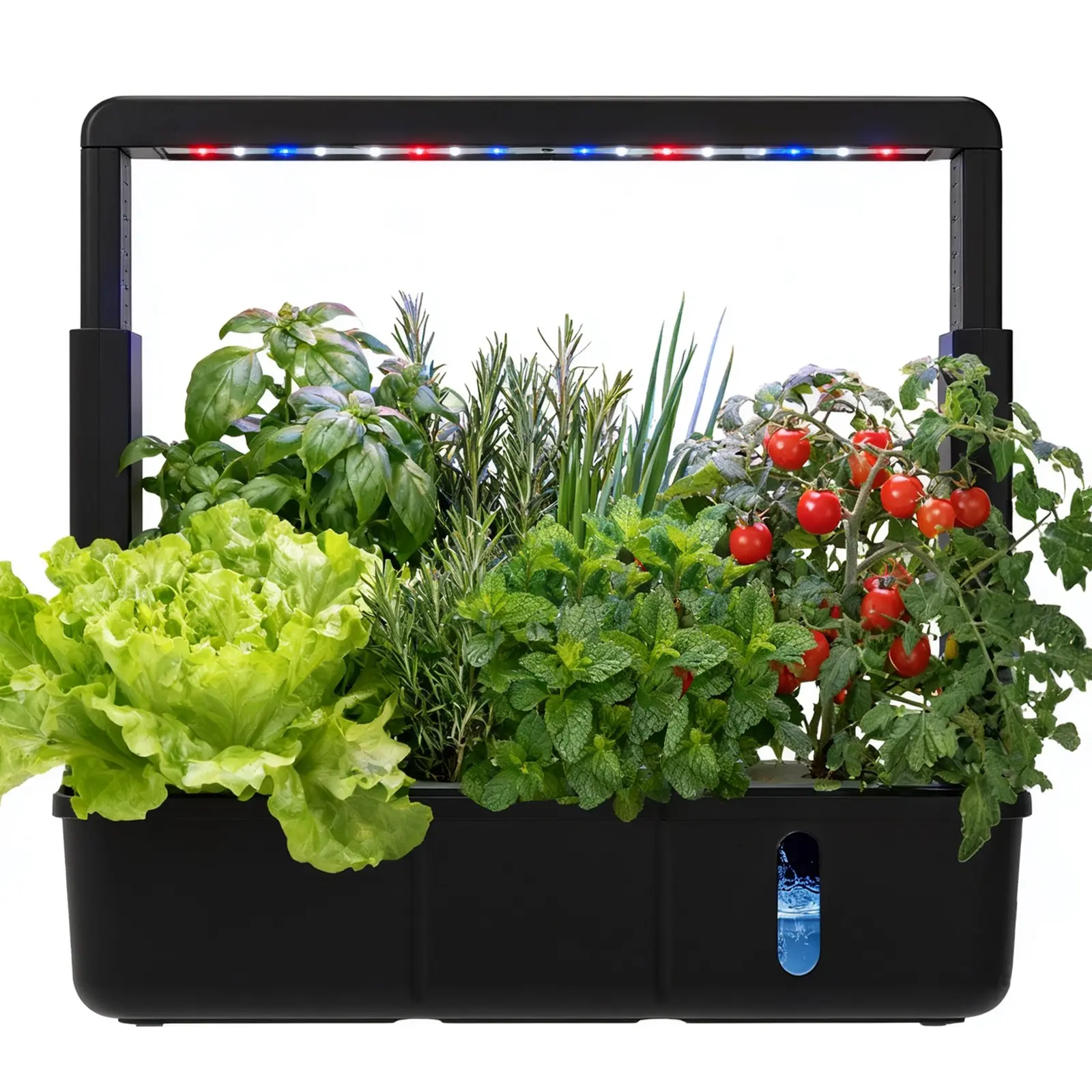 Adjustable Height 3.5L Hydroponic Growing System with 15 pod kit, Indoor  Smart Garden, Full Spectrum LED Grow Light, Ideal Gardening Tool for  Balcony & Kitchen, Indoor Smart Garden Planting System - TikTok Shop