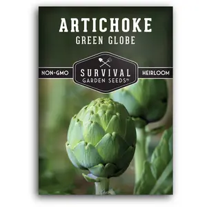 Green Globe Artichoke Seeds