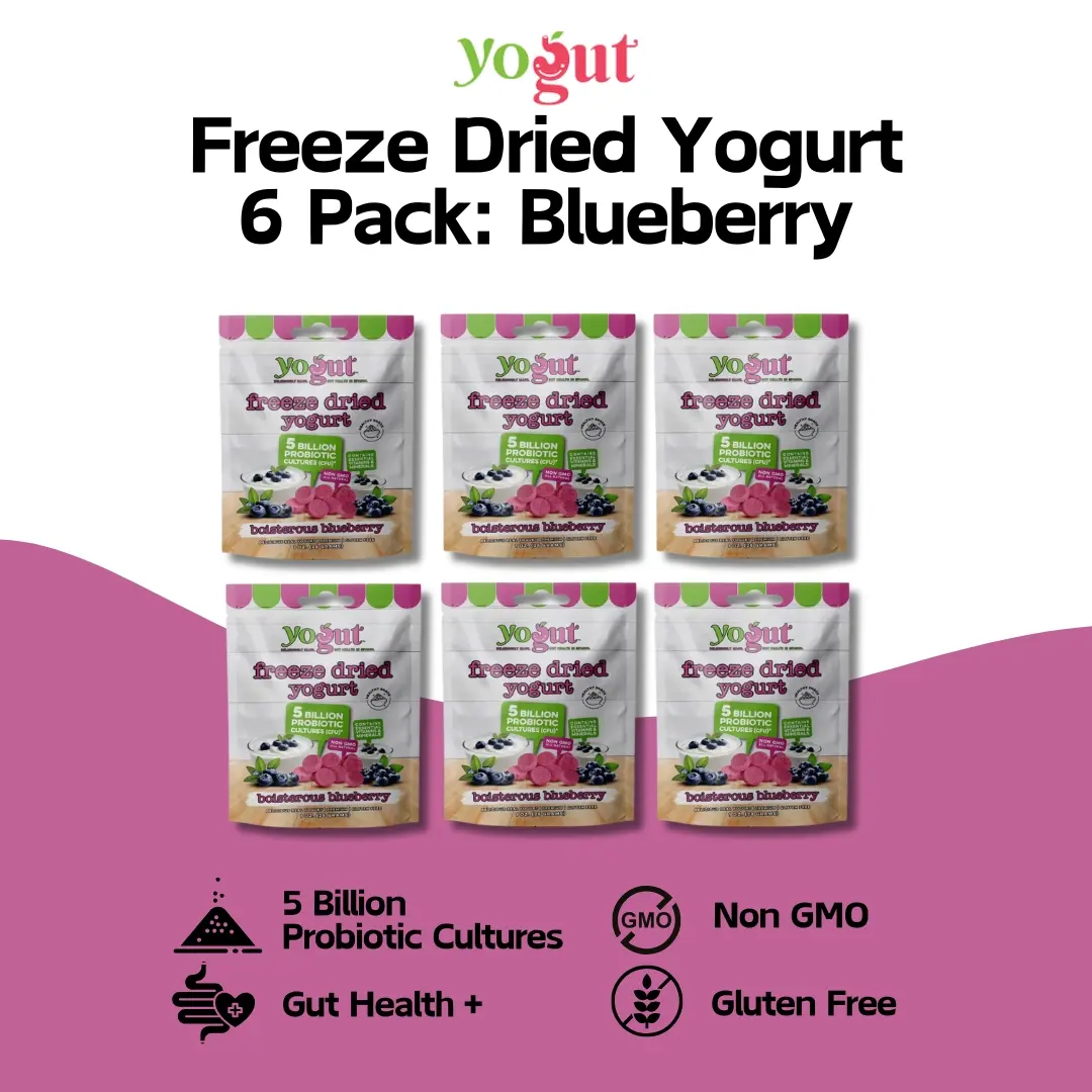 YoGut Freeze Dried Yogurt 6 Pack - Blueberry YoGut Freeze Dried Yogurt 6 Pack - Blueberry