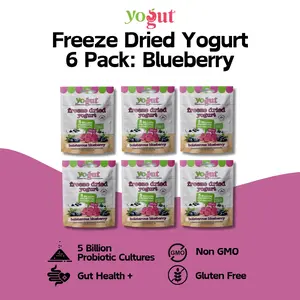 YoGut Freeze Dried Yogurt 6 Pack - Blueberry