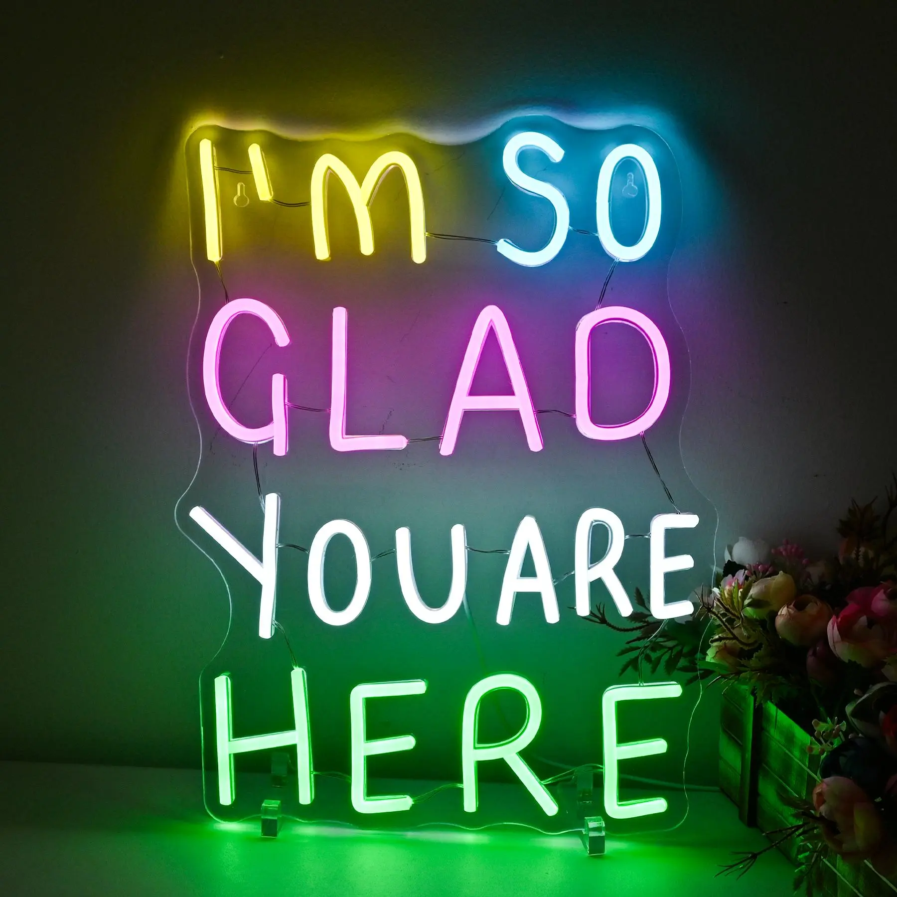 I'm So Glad You Are Here Neon Sign, USB Powered LED Neon Light, Decorative Atmosphere Light for Home, Office, Store, Coffee Shop, Girls Room Decoration, Neon Accent Lights, Neon Lamps, Led Wall Decor