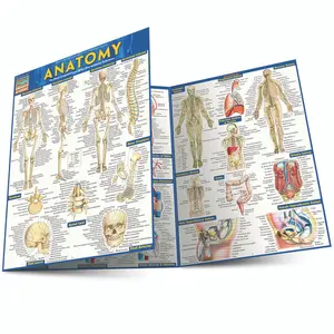 Anatomy Study Guide & Notebook Companion – Laminated Human Body Systems Reference Chart, Fold-Out Waterproof 6-Page Visual Guide for Students, Medical Notes & Journaling