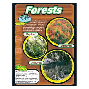 Forests Learning Chart