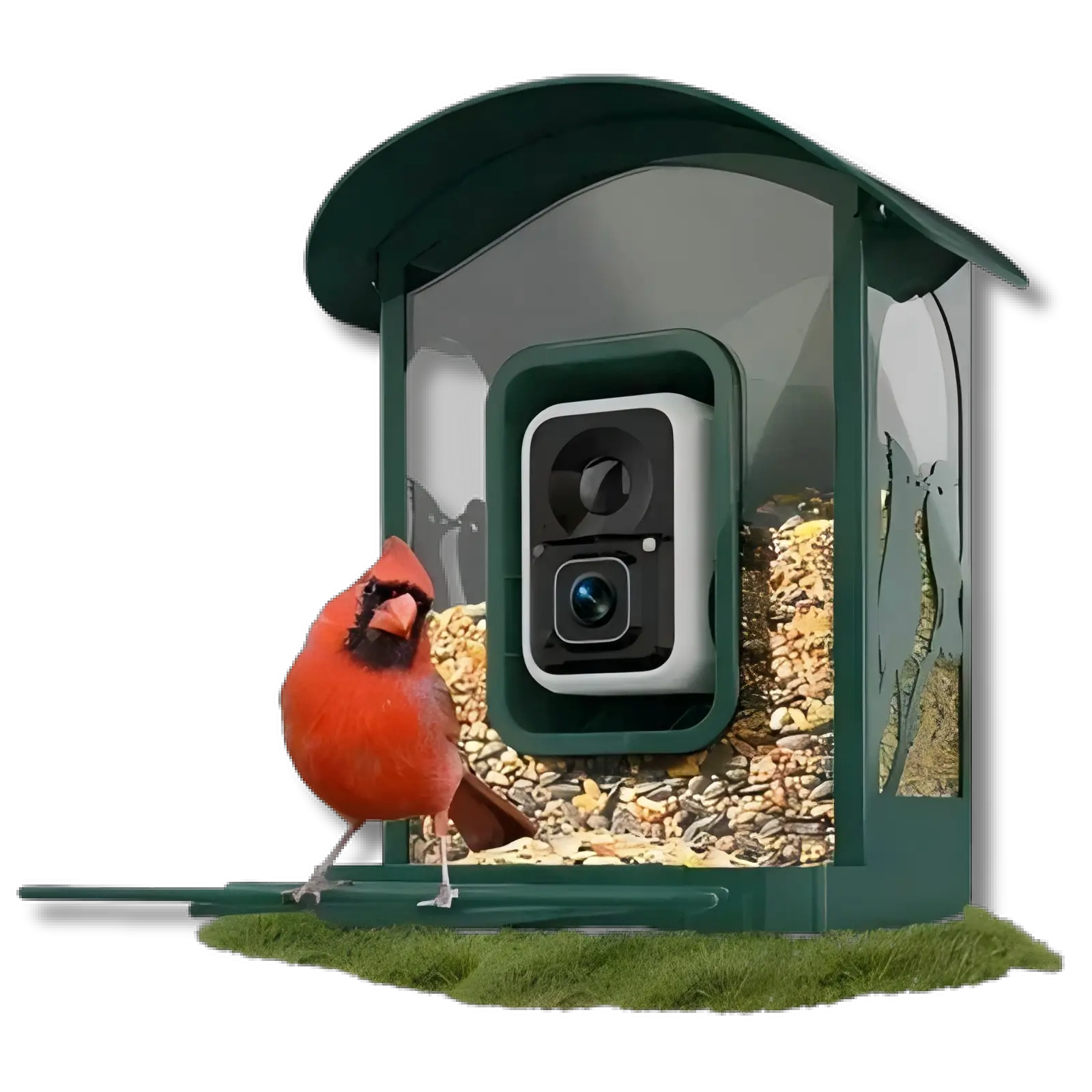 Humbirdy AI Bird Feeder 4K Ultra with 8MP Video 120 fps Slow Motion Camera IP66 Weatherproof Design & 5200mAh Battery