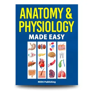 Anatomy & Physiology Made Easy: An Illustrated Study Guide Book for Students - Paperback Books, Published Oct 25, 2021
