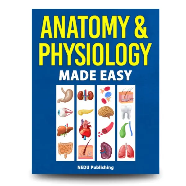 Anatomy & Physiology Made Easy: An Illustrated Study Guide Book for Students - Paperback Books, Published Oct 25, 2021