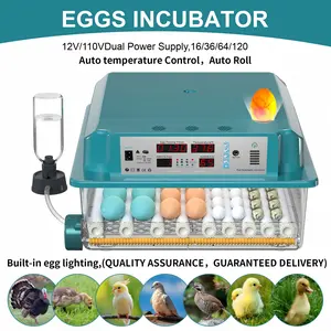 16/36/64/120 Smart Automatic Incubator, Auto Temp & Humidity Control, Auto Rotation, Adjustable Rollers, Water Refill