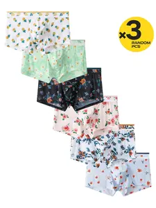 2/3/4 Pcs Random Color Men's Printed Boxers, Ice Silk Cool & Breathable, Summer Shorts for Daily Casual & Fitness Sports