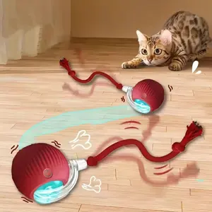 Interactive Cat & Dog Teaser Toy with Onel Tail, Kitten Rolling Ball Toy, Pet Supplies, Dog & Cat Accessories Cute dog toys