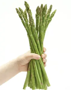 Low-Fat, High-Fiber Asparagus Seeds | Perennial, Easy to Grow | Sow Once, Harvest for Years