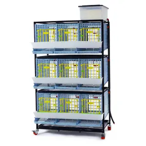 Partridge Cage - 3 Layer - 3-Layer Partridge Cage for Spacious Game Bird Housing