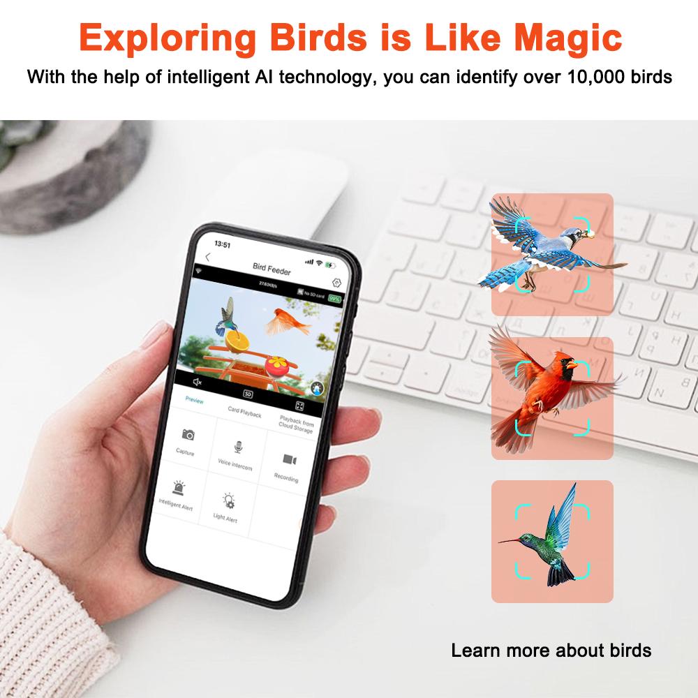 2.5K Smart Bird Feeder with Camera Outdoor Solar Powered, 2.4GHz/5GHz WiFi Birds Watching Camera with Auto Capture & AI Identification, Real-time Notifications, Gift for Bird Lovers 2.5K Smart Bird Feeder with Camera Outdoor Solar Powered, 2.4GHz/5GHz WiFi Birds Watching Camera with Auto Capture & AI Identification, Real-time Notifications, Gift for Bird Lovers