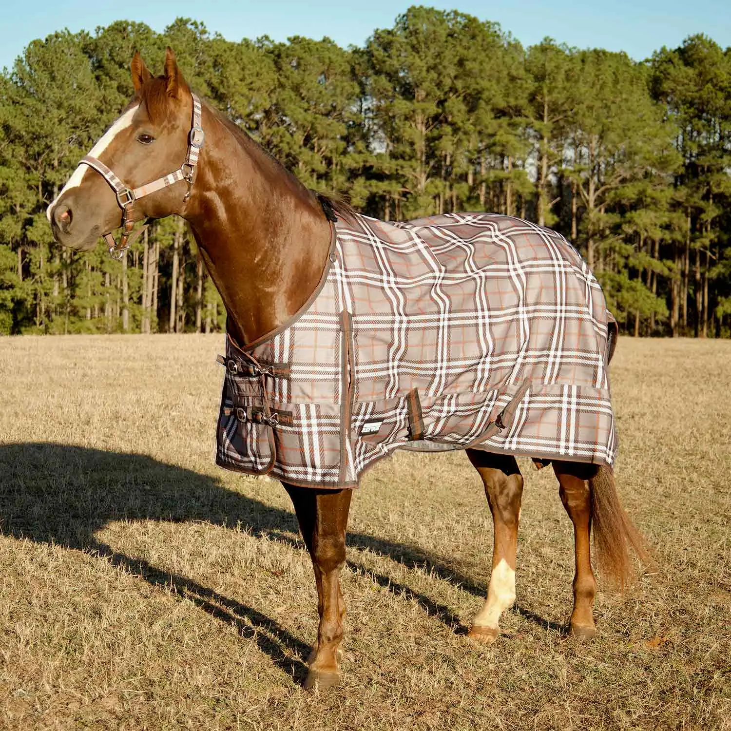 Jeffers Poplar Head Refuge 1200 Denier Turnout Blanket, 240 Gram, Plymouth Brown Plaid