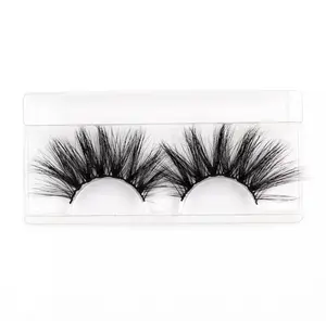 Venus Lashes