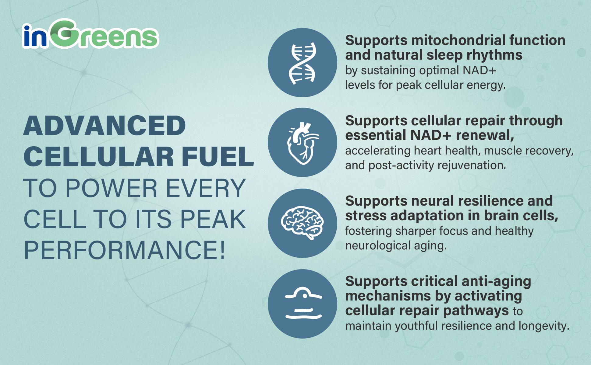 inGreens NAD+ Supplement 1800mg -Pure NAD Supplement -Energy and DNA Repair, Aging Defense, Brain Function -90Counts (45 Days) inGreens NAD+ Supplement 1800mg -Pure NAD Supplement -Energy and DNA Repair, Aging Defense, Brain Function -90Counts (45 Days)