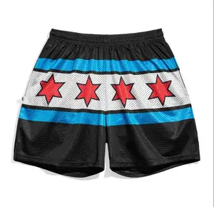 CM Punk Money in the Bank 2011 Entrance Mesh Shorts All-Over Print Active Sport