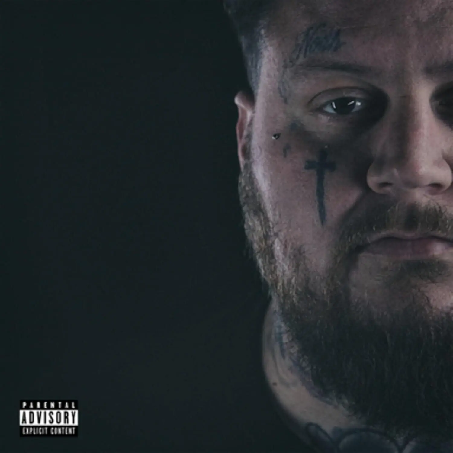 Jelly Roll - A Beautiful Disaster  [COMPACT DISC - CD]