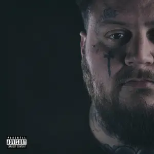 Jelly Roll - A Beautiful Disaster  [COMPACT DISC - CD]