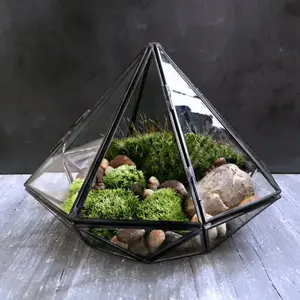 Glass Terrarium