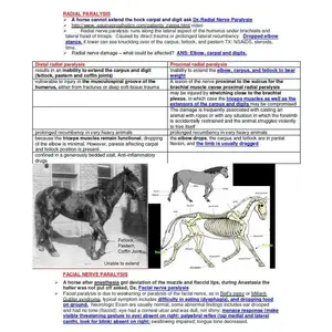 Complete Vet Study Guide - Complete Vet Study Notes - Best comprehensive Vet School Notes - Best for BCSE and NAVLE Exams - Basic to Advance