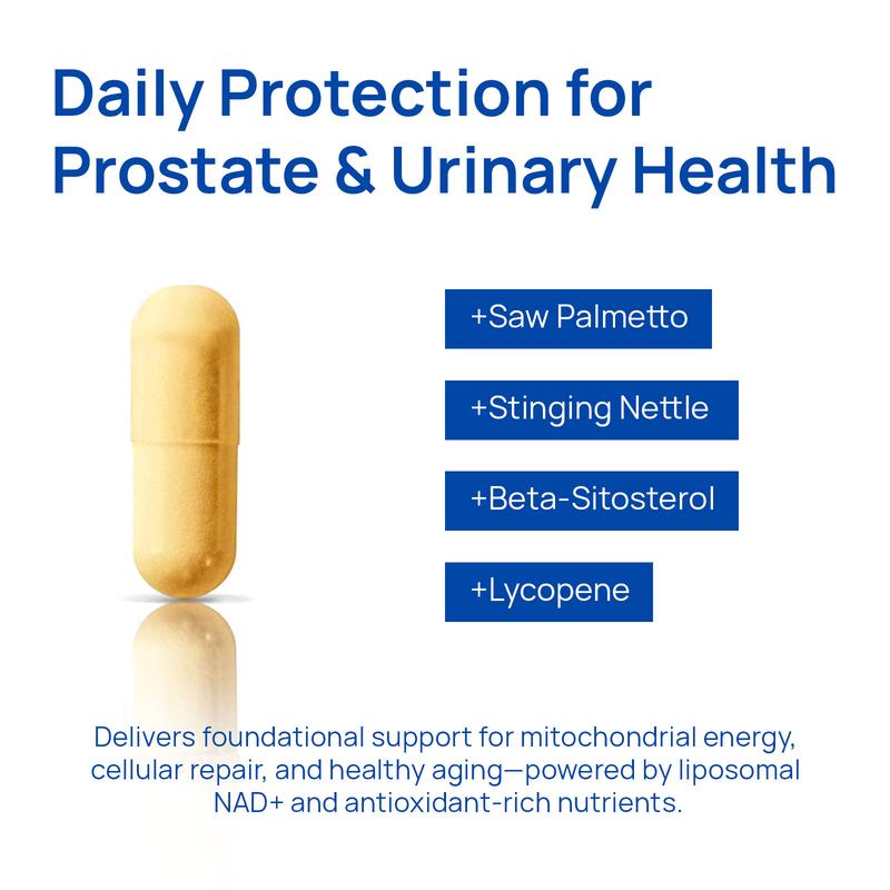 Selerb NAD+ Supplement for Men – With  Liposomal-NAD+,CoQ10, L-Carnitine, L-Arginine, Maca & Ashwagandha Fitness – Energy, Circulation & Prostate Support – 60 Capsules Edible Dietary  Vitamin Healthcare Natural