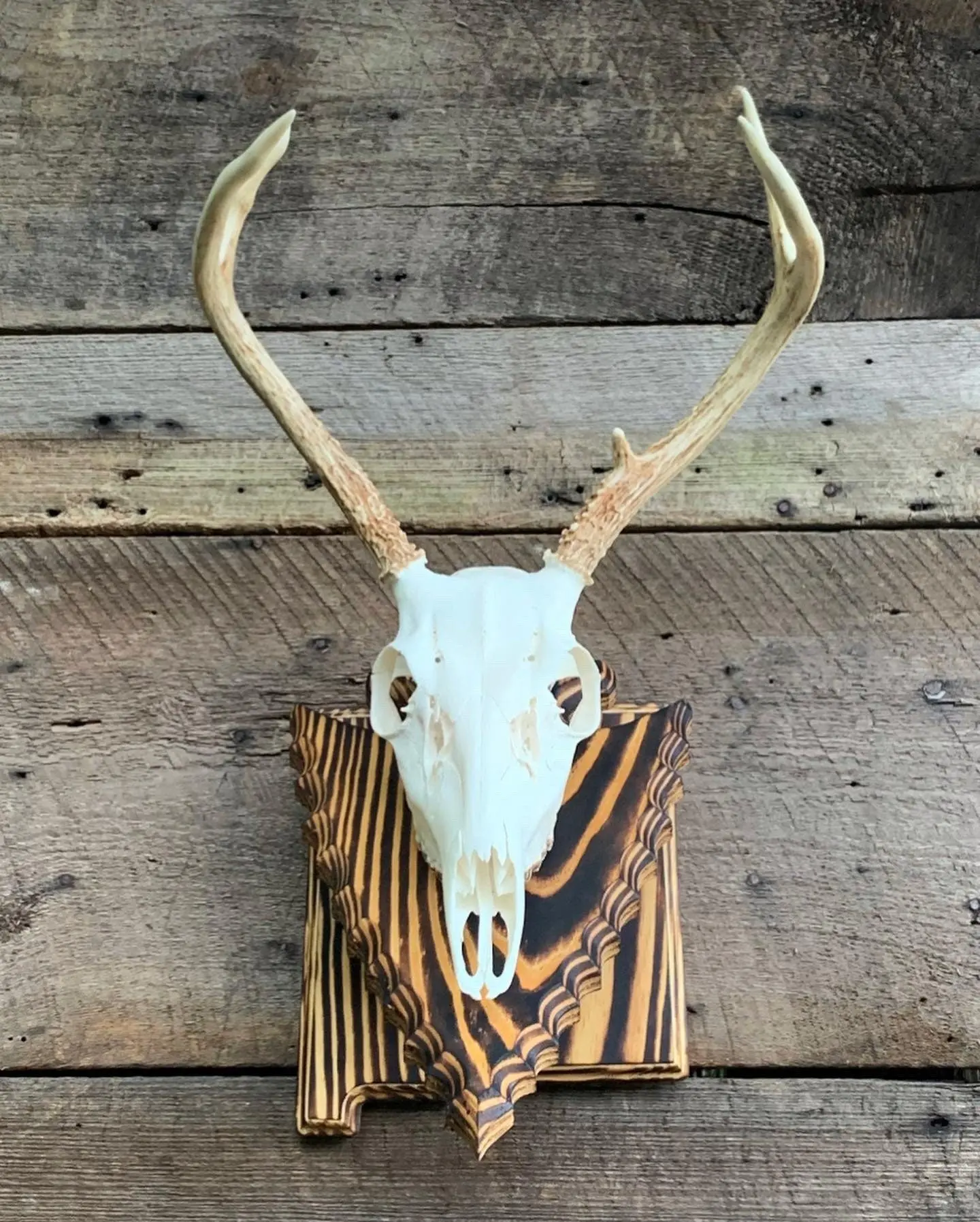 New Mexico Wall Pedestal